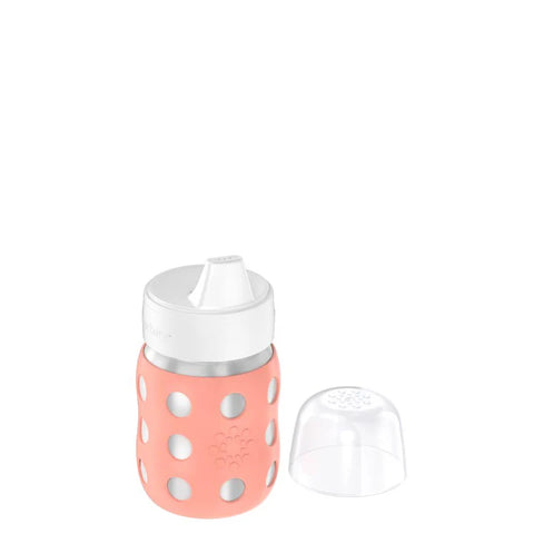 8oz Stainless Steel Baby Bottle Hard Sippy Spout